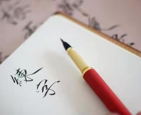 横竖撑天地 撇捺写人生——二8班硬笔书法社团活动总结