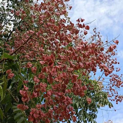 有你，不枉此生