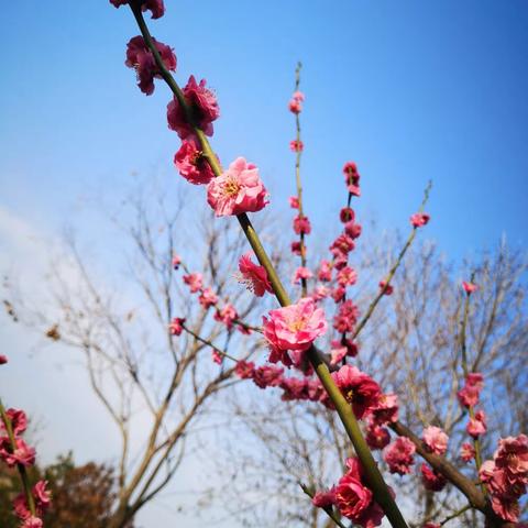 惊蛰，我破土而出