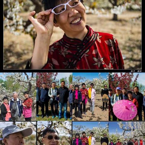 大兴区庞各庄梨园游记