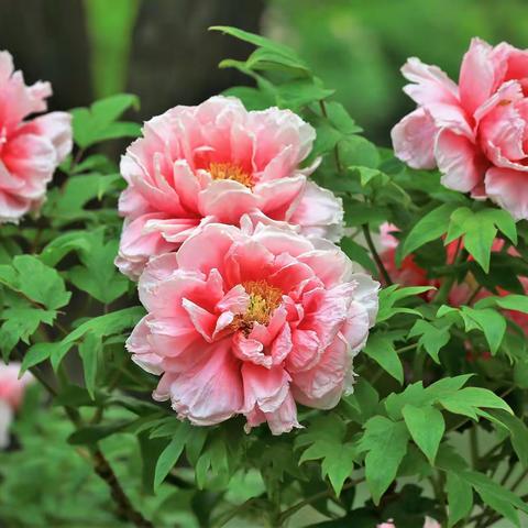 跟着老师学习拍摄