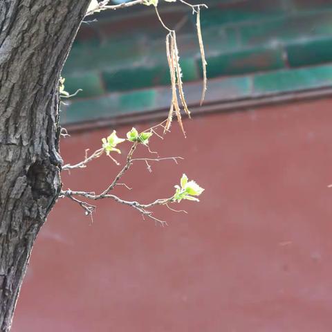 跟着大哥去拍片（一）