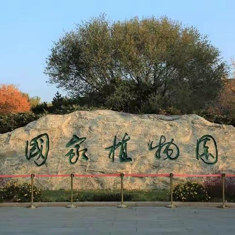 晚秋，2022年11月8日