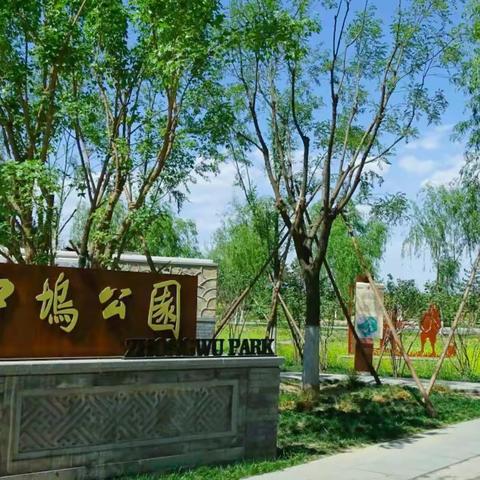 《自然之黄》— 记中坞公园油菜花观赏活动