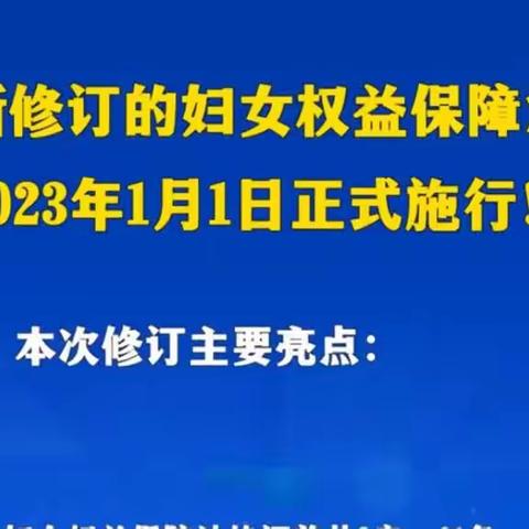 “三八”，送法、护航万家