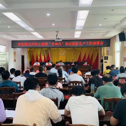 昌化镇组织召开防止耕地“非粮化”稳定粮食生产工作部署会