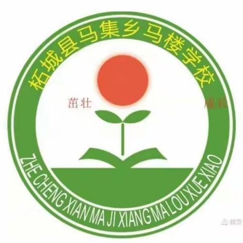 马楼小学春季第十五周升国旗