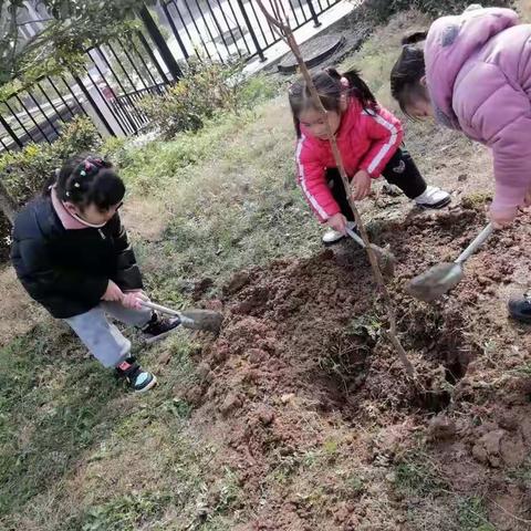 十里春风  与绿色同行——记小二班植树节主题活动🌴