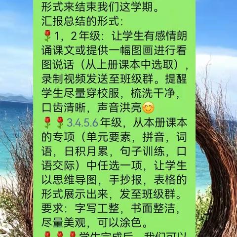 别样的课堂，不变的初心———褚河第二中心小学期末线上汇报总结纪实