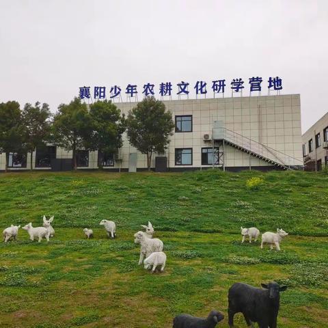 播种希望耕耘未来 | 襄阳市第五中学附属初级中学七年级开展研学活动