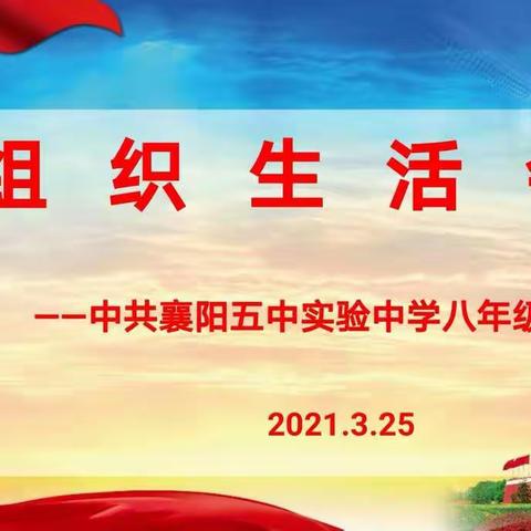 襄阳五中实验中学八年级支部组织生活会暨民主评议党员大会总结