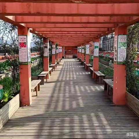 “幸福农场收获满满，体验劳动意义非凡”宝轮一小2021年劳动育人活动纪实