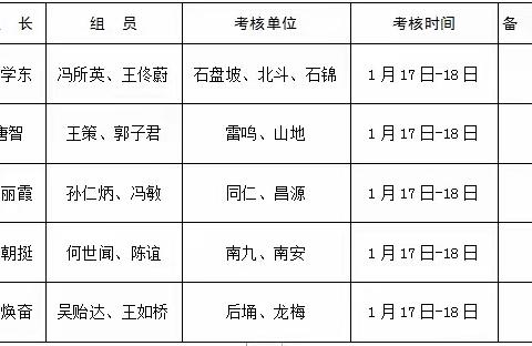 雷鸣镇2019年度村“两委”班子、“两委”干部、计生信息员及村“雇员”绩效考核