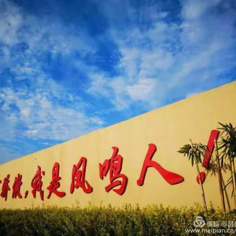 春暖花开，愿你的假期闪闪发光—昌邑市凤鸣学校寒假生活指导