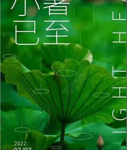 愿你心中有所“暑”，记隆湖六站小学刘钰名师工作室二十四节气（小暑）主题活动