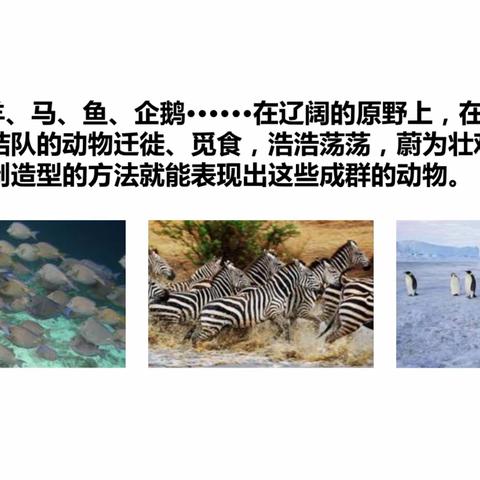 十四周 四年级美术 成群的动物