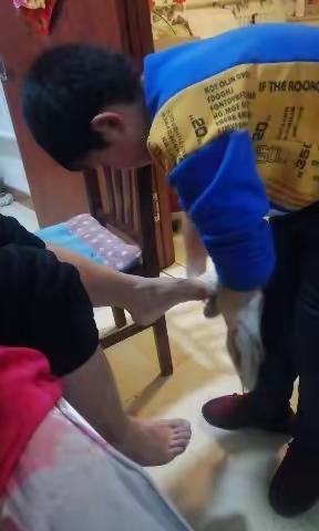 为父母洗脚，孩子与家长同感动——招远市齐山镇十字道完全小学之感恩父母