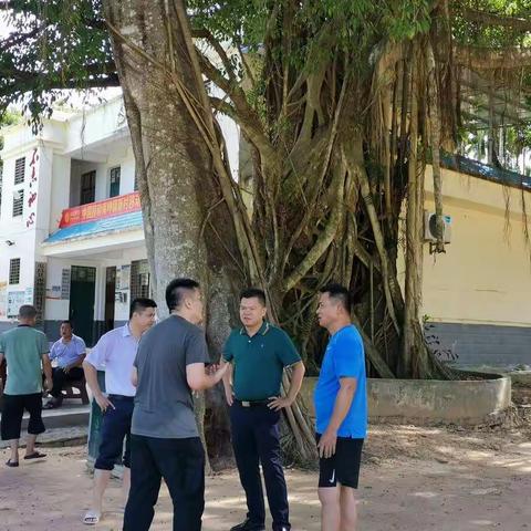 齐心协力，携手覆绿农村裸露土地