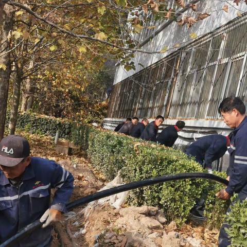首旺煤业后勤职工积极投身铺设电缆义务劳动