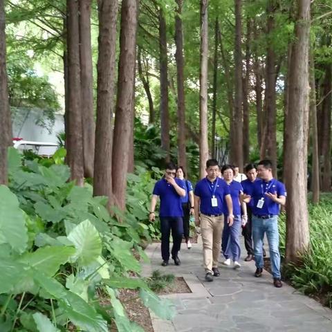 参观拓思路，学习促发展——纪阳台山公园赴洪湖公园参观学习