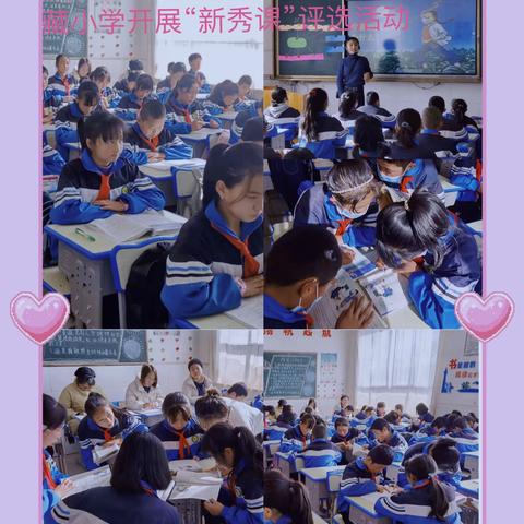 共研、共进、共成长——记唐藏小学开展学区教研活动