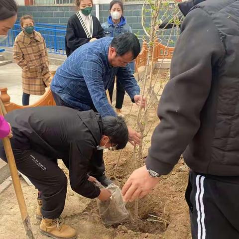 植树种花你我他 美化校园靠大家