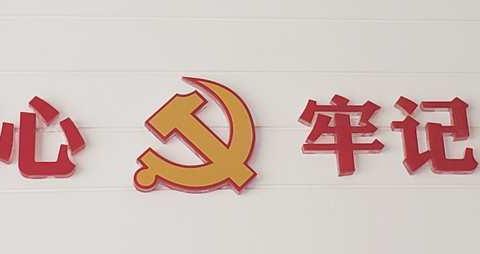 新媒体党支部召开专题党员大会暨开展“重温入党誓词  永葆入党初心”主题党日活动