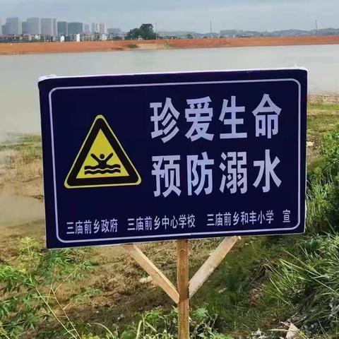 三庙前乡和丰小学“万师访万家”暨暑期防溺水家访活动