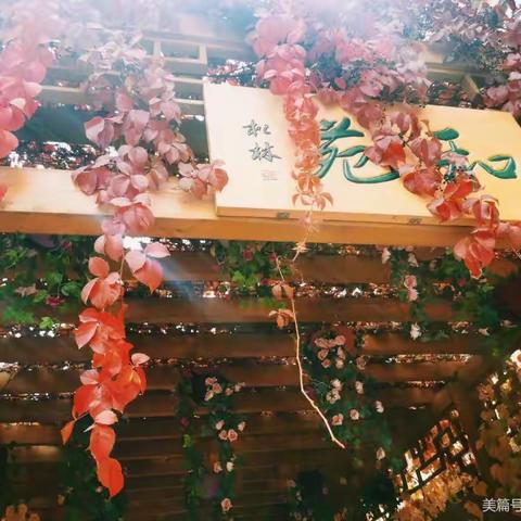 “历”久弥坚，“史”海领航 —历史组线上集体教研活动