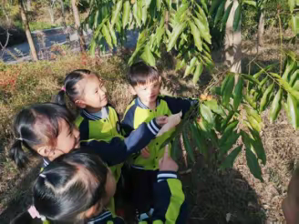 叮，您有一份外卖订单 ——南湖船菜社团的故事