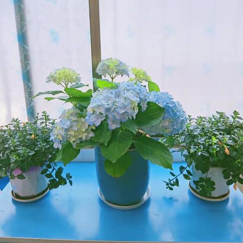 双向奔赴 共育花开——人民路小学二年六班家长会