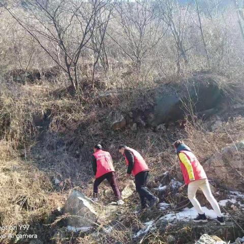 太平国有生态林场2月1日工作简报