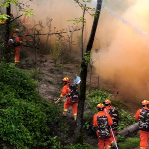 火炎焱燚！这场森林防灭火演练“动真格”了