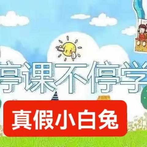 【麒麟中心幼儿园】停课不停学小班组   绘本故事《真假小白兔》