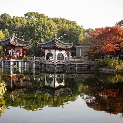 奉贤红枫&红衫林