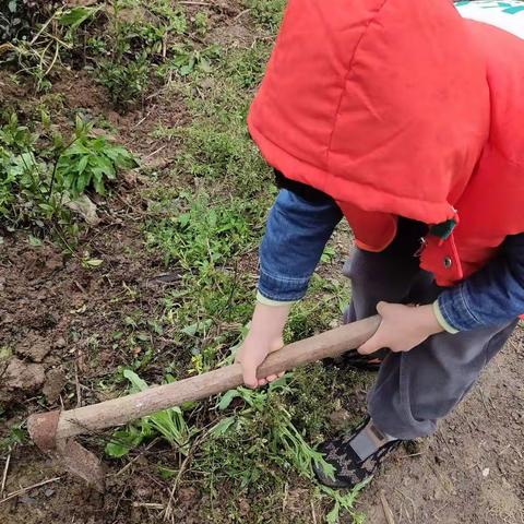 居家学习 静待花开——武川小学一8苔米中队 陆润熠