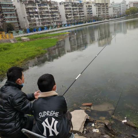 相约春天《周末🍀️赏花🌸钓鱼》