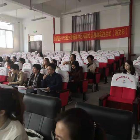 厉兵秣马强技能 蓄势待发新征程—2019届小学新教师见习期实践活动语文观摩课