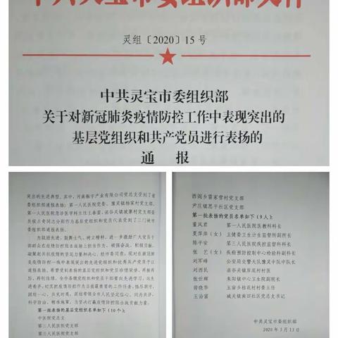 防控疫情   党员先行――灵宝市医疗保障局机关党支部开展疫情防控工作纪实