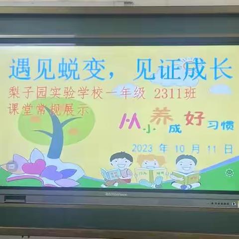 ——梨子园实验小学2023年下期一年级2311班课堂常规训练