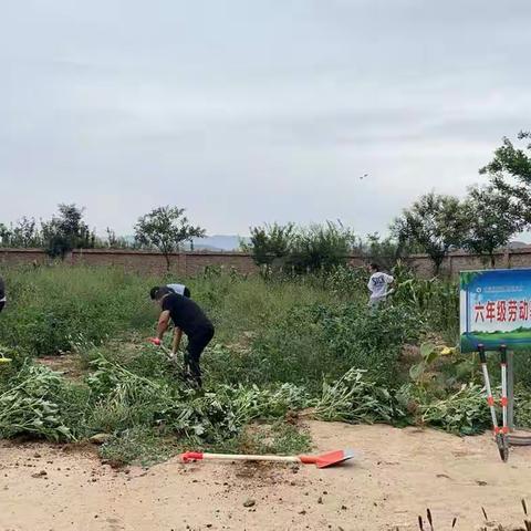 爱护校园 美化校园 校园是我家——平川区宝积镇吊沟小学教师劳动纪实