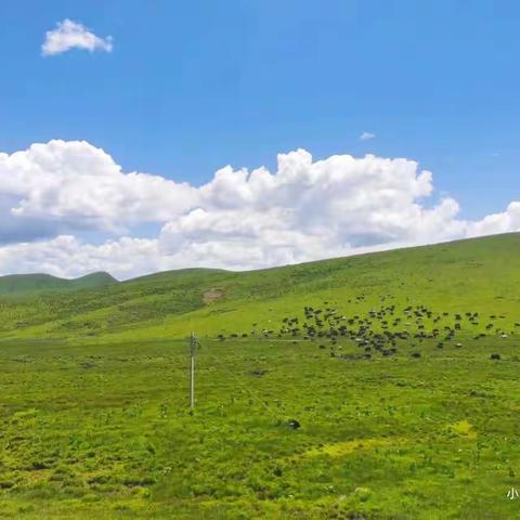 绿水青山就是金山银山