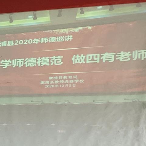 学师德风范，做四有老师——桐木溪学校师德师风培训