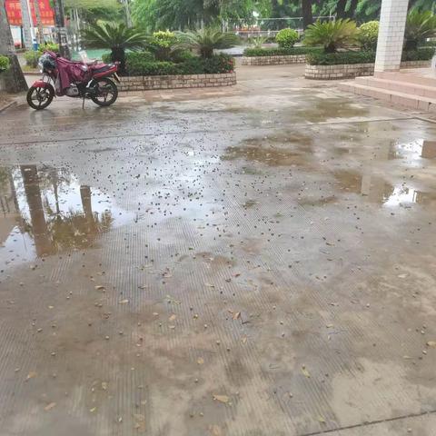 守护校园，风雨无阻