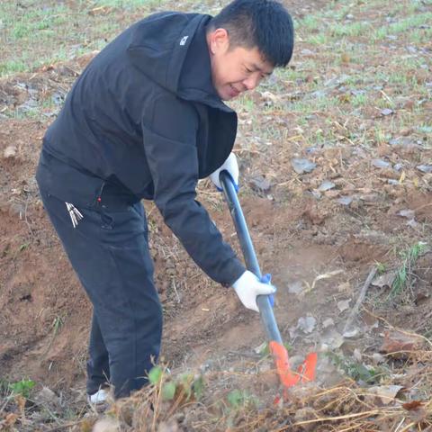 【河南疃镇全域环境大整治之一】干部带头干，群众跟着干，河南疃镇路域环境提升有干劲！