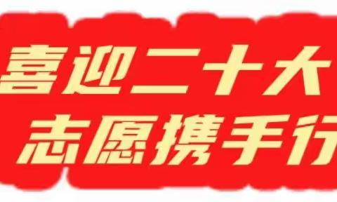 【喜迎二十大 志愿携手行】河南疃镇开展系列志愿服务活动