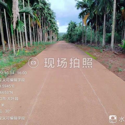 东山片区保洁员在44队开展2022年第四季度人居环境卫生整治作业图