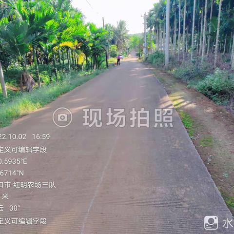 东山片区保洁员在3队开展2022年第四季度人居环境卫生整治作业图