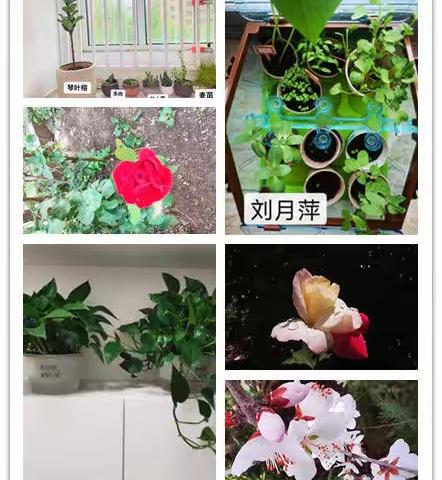 人和是最美的风景---密云二中“喜迎二十大，我爱我家”之惬意生活篇