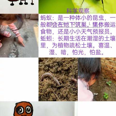 大厅门小学科学活动之寻访小动物